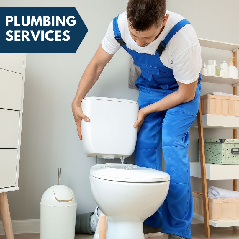 Plumbing Company in Cornland, IL